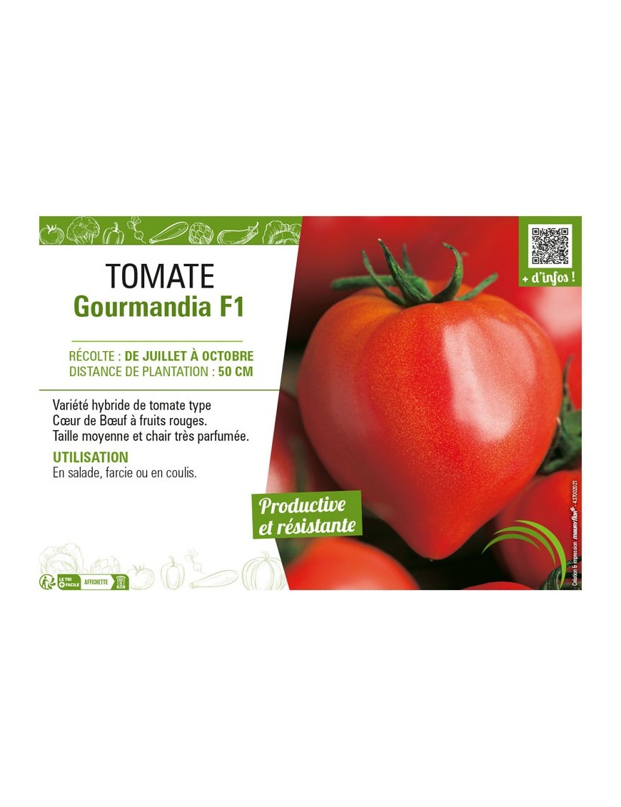 TOMATE GOURMANDIA F1