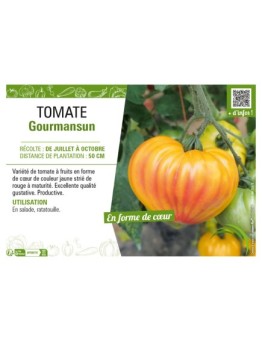 TOMATE GOURMANSUN