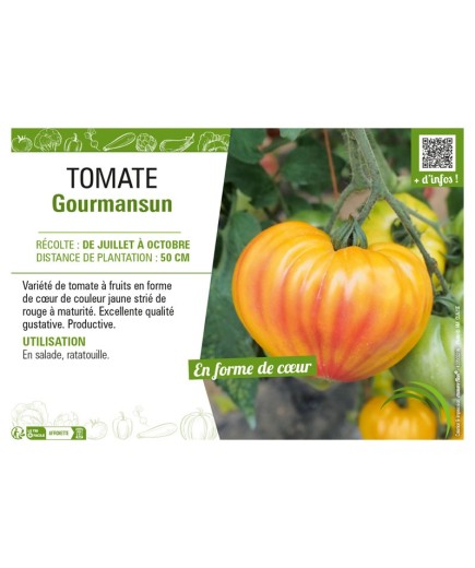 TOMATE GOURMANSUN