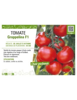 TOMATE GRAPPELINA F1