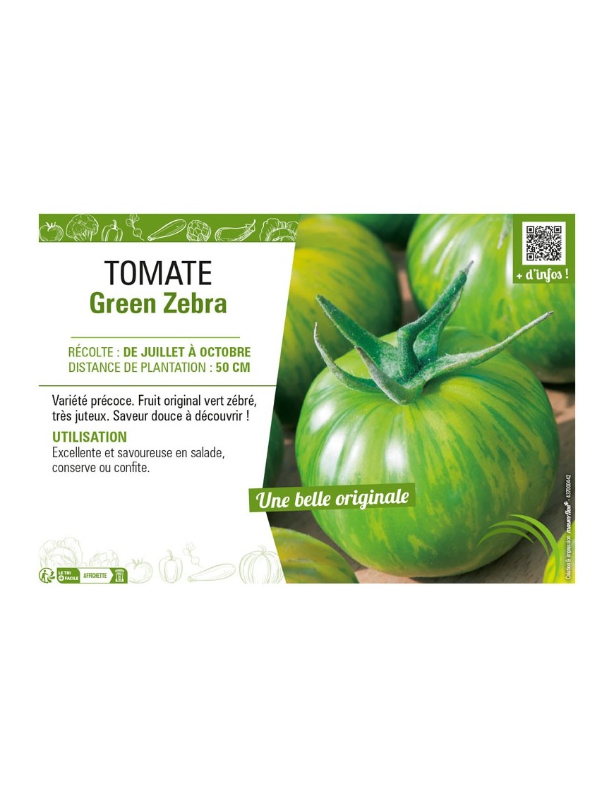TOMATE GREEN ZEBRA
