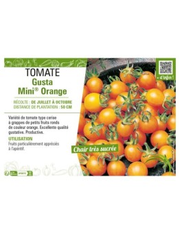 TOMATE GUSTA MINI® ORANGE