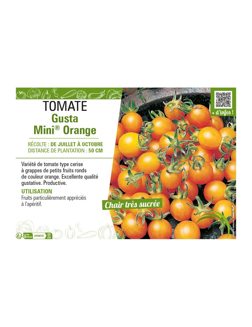 TOMATE GUSTA MINI® ORANGE