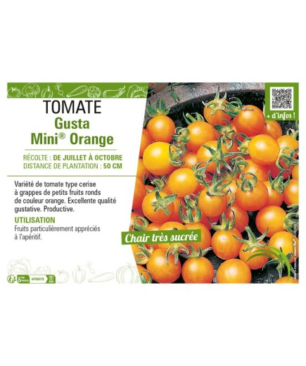 TOMATE GUSTA MINI® ORANGE