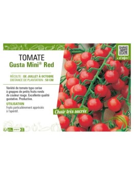 TOMATE GUSTA MINI® RED