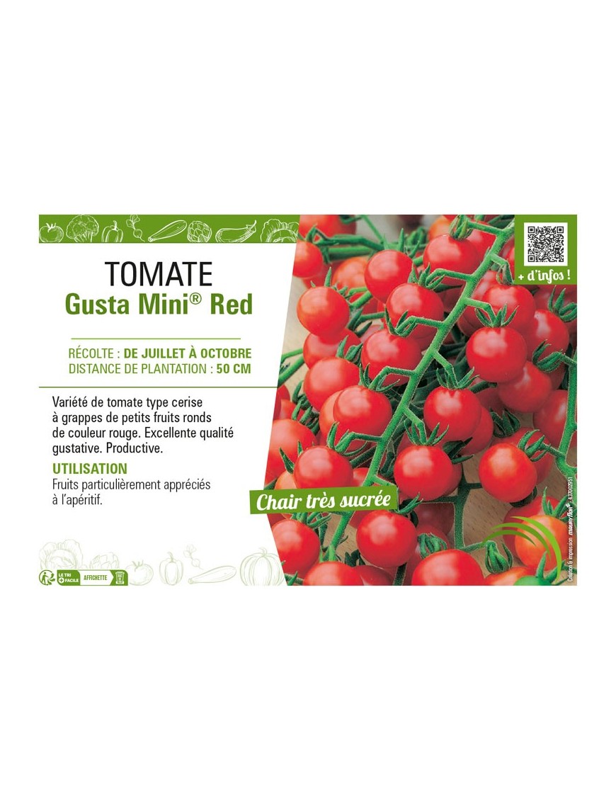 TOMATE GUSTA MINI® RED