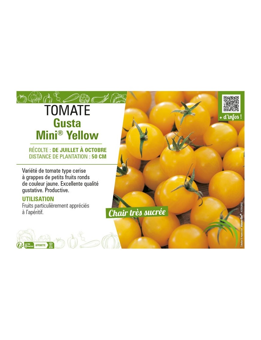TOMATE GUSTA MINI® YELLOW