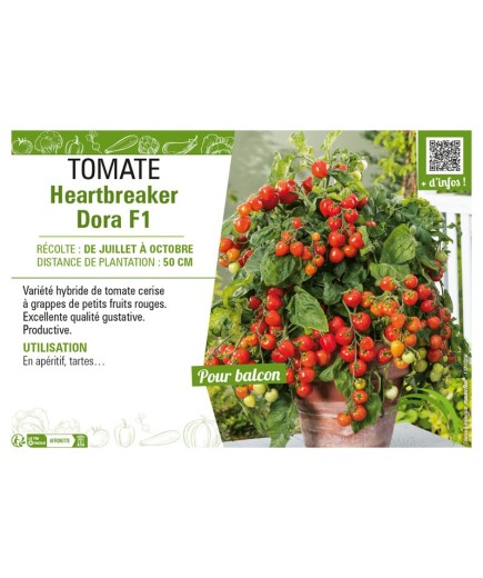 TOMATE HEARTBREAKER DORA F1