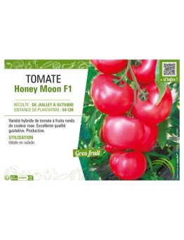 TOMATE HONEY MOON F1