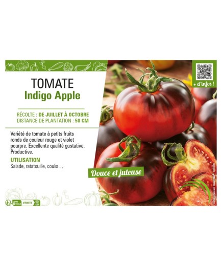 TOMATE INDIGO APPLE