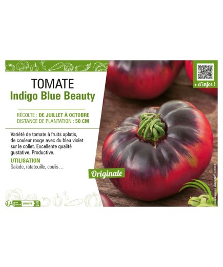 TOMATE INDIGO BLUE BEAUTY