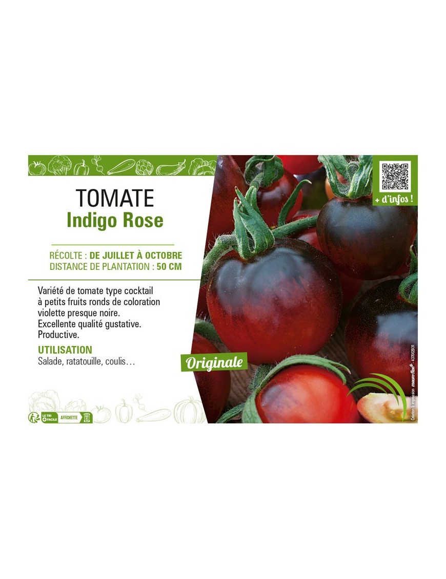 TOMATE INDIGO ROSE