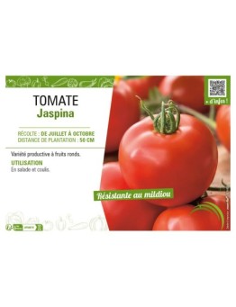 TOMATE JASPINA