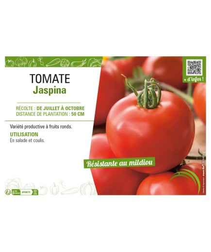 TOMATE JASPINA
