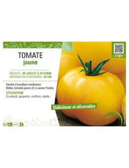 TOMATE JAUNE