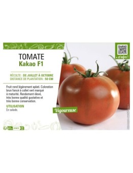 TOMATE KAKAO F1
