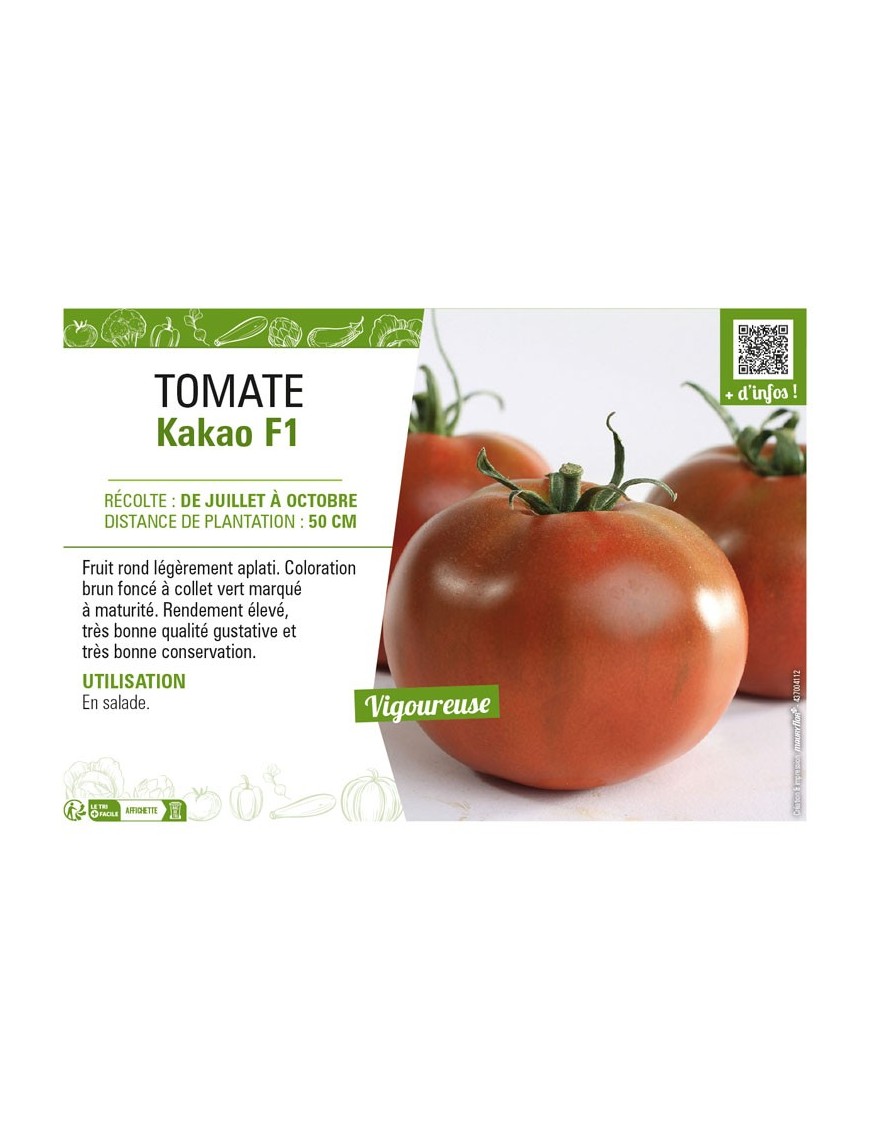 TOMATE KAKAO F1
