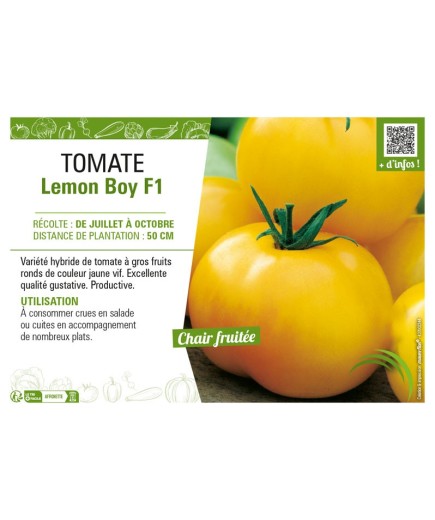 TOMATE LEMON BOY F1