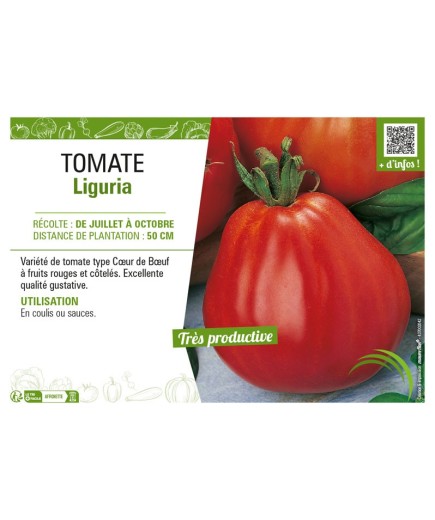 TOMATE LIGURIA