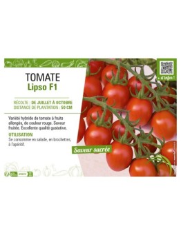 TOMATE LIPSO F1