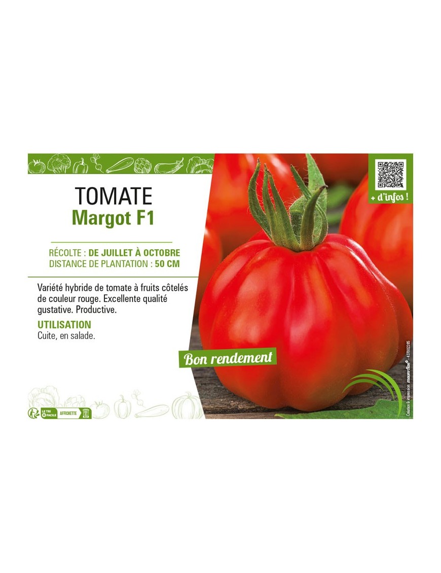 TOMATE MARGOT F1