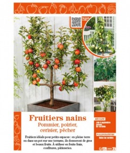 FRUITIERS NAINS - Pommier