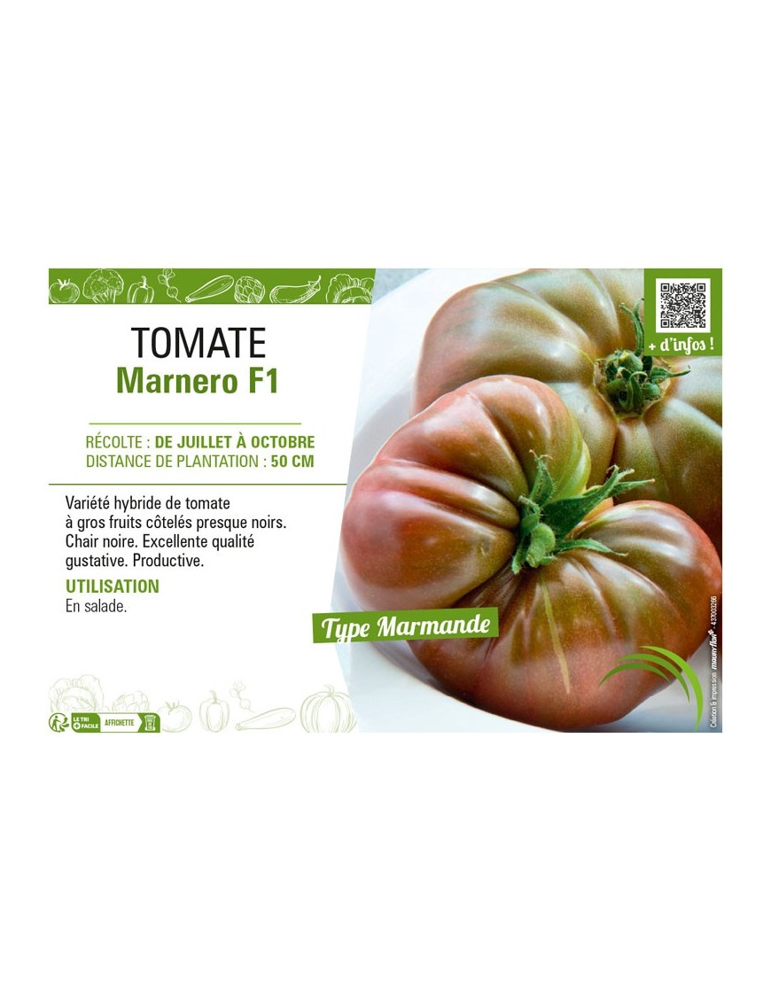 TOMATE MARNERO F1