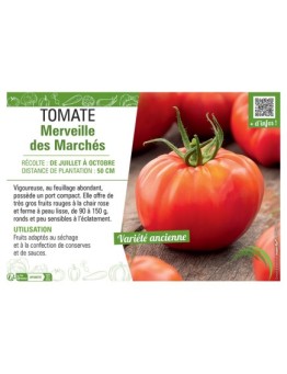 TOMATE MERVEILLE DES MARCHES