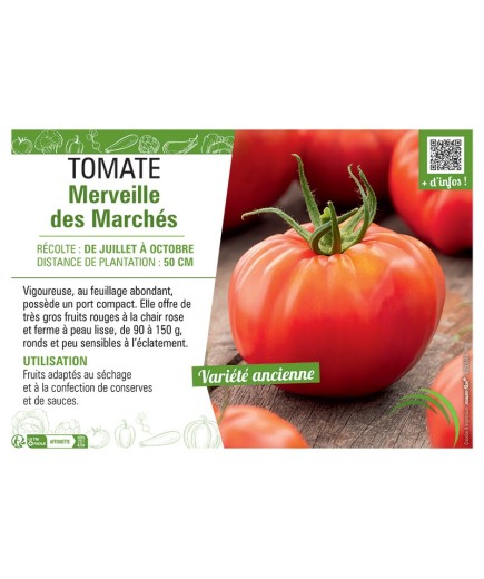 TOMATE MERVEILLE DES MARCHES