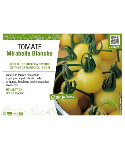 TOMATE MIRABELLE BLANCHE