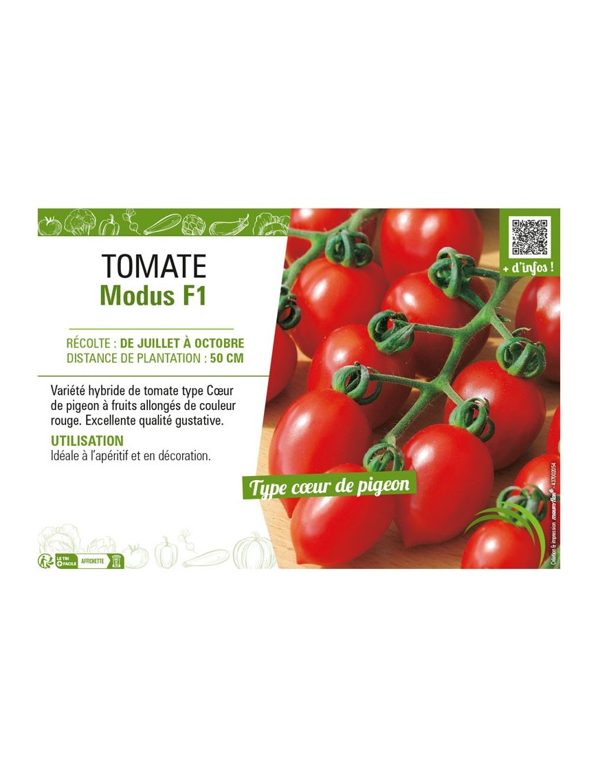 TOMATE MODUS F1
