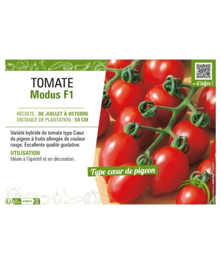 TOMATE MODUS F1