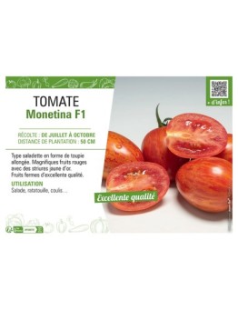 TOMATE MONETINA F1