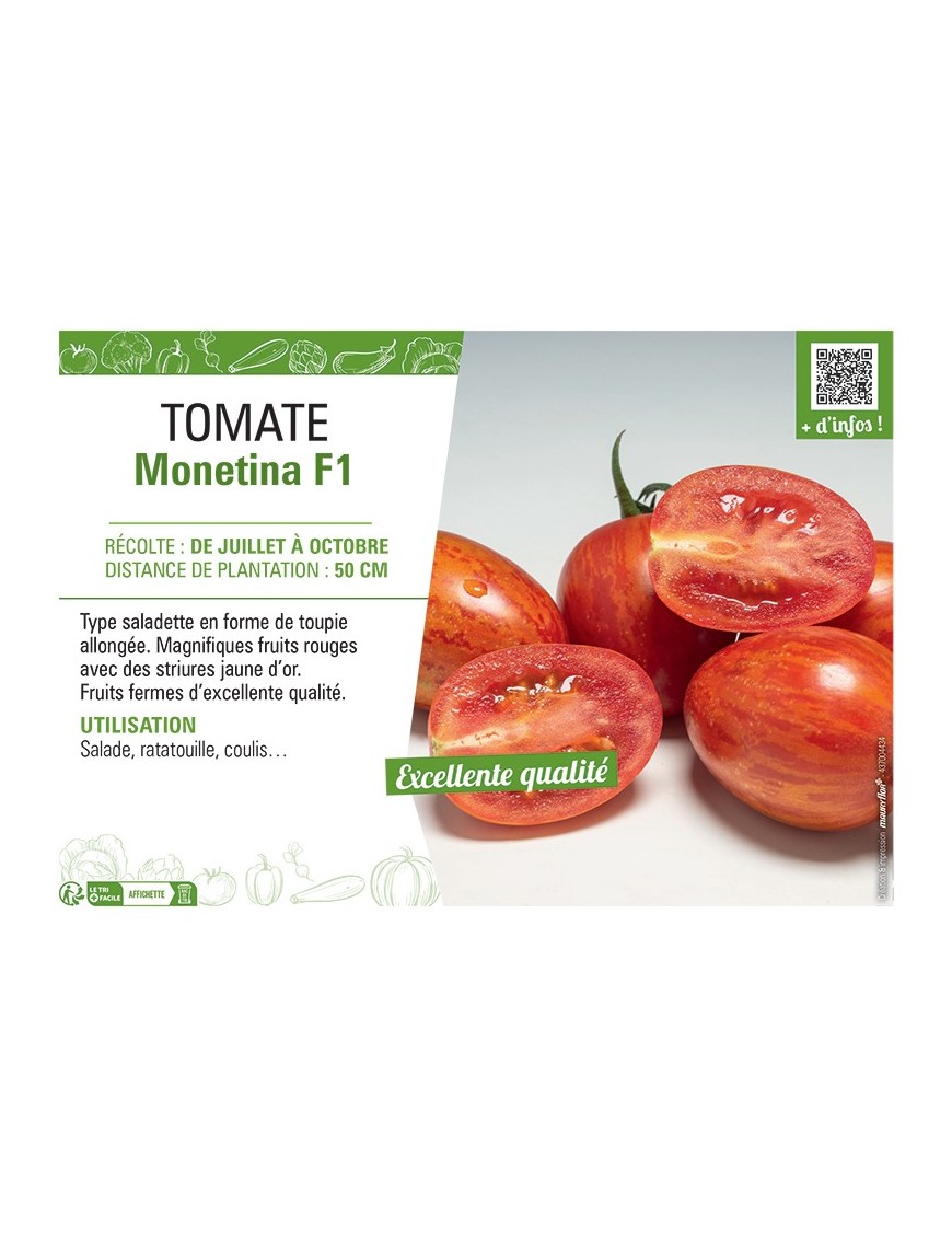 TOMATE MONETINA F1