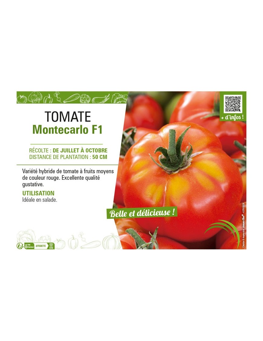 TOMATE MONTECARLO F1