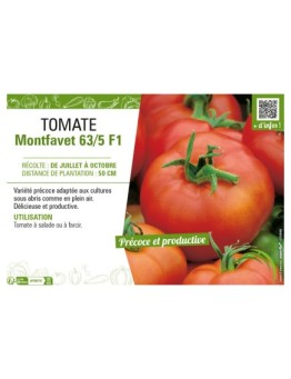 TOMATE MONTFAVET 63/5 F1