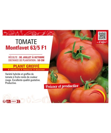 TOMATE MONTFAVET 63/5 F1 Plant greffé