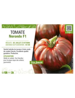 TOMATE NERONDO F1