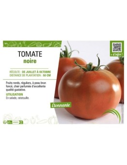 TOMATE NOIRE