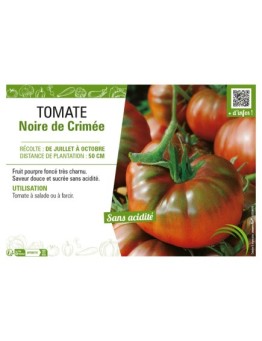 TOMATE NOIRE DE CRIMÉE