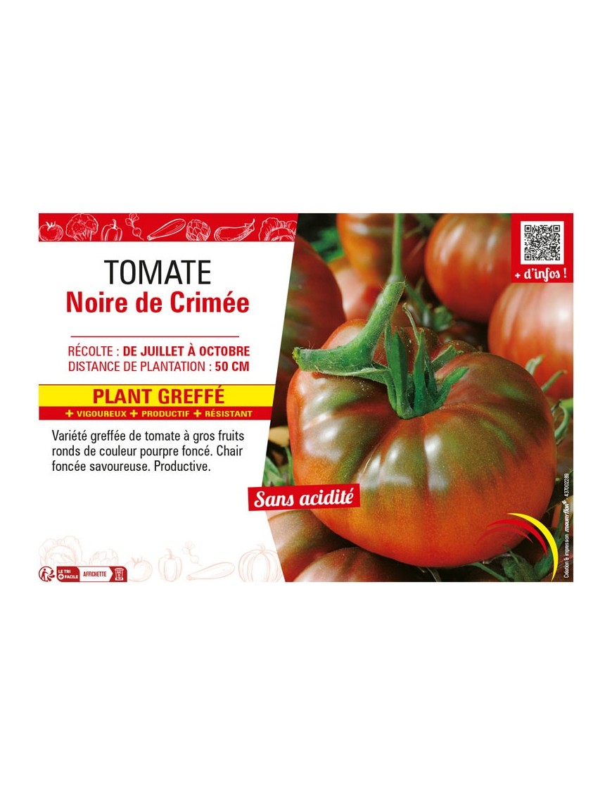 TOMATE NOIRE DE CRIMÉE Plant greffé