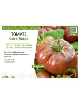 TOMATE NOIRE RUSSE