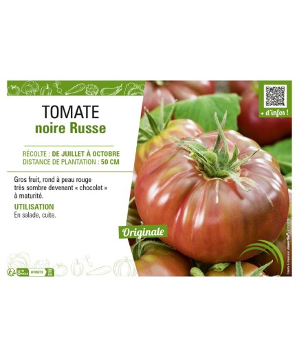 TOMATE NOIRE RUSSE