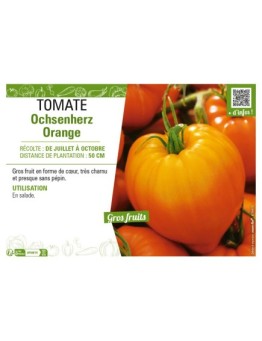TOMATE OCHSENHERZ ORANGE