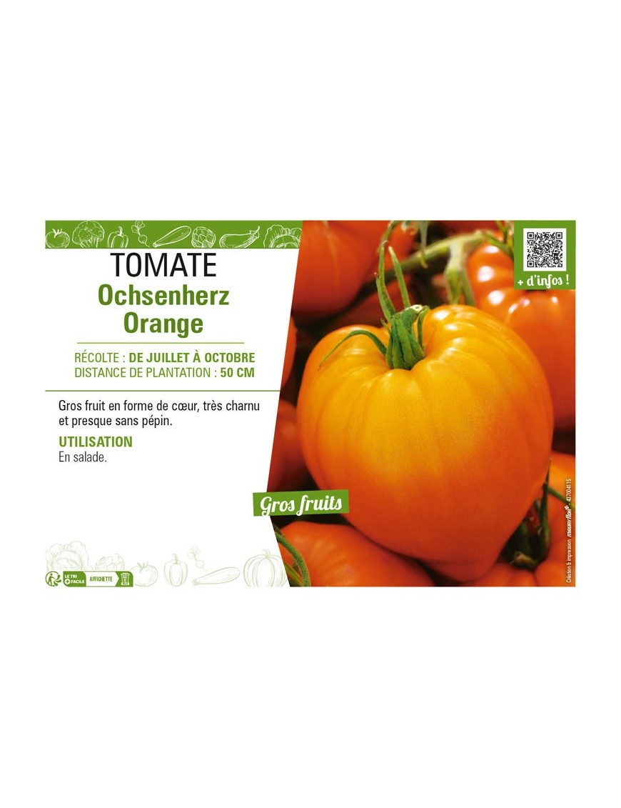 TOMATE OCHSENHERZ ORANGE