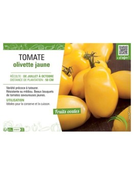 TOMATE OLIVETTE JAUNE