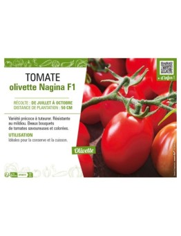 TOMATE OLIVETTE NAGINA F1