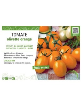 TOMATE OLIVETTE ORANGE