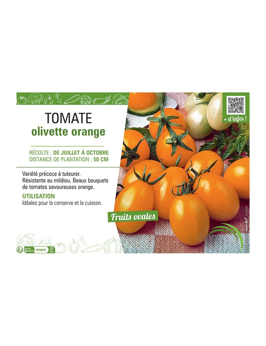 TOMATE OLIVETTE ORANGE