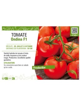 TOMATE ONDINA F1